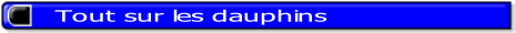 lien dauphin