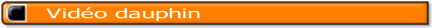 wp643d106d.png