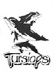 dauphin tursiops