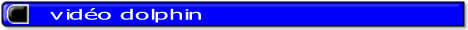 video dolphin