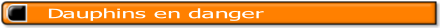 dauphins en danger