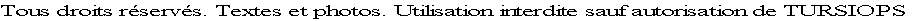 des dauphins et des hommes